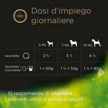 Carica l'immagine nel visualizzatore di Gallery, Cesar Selezioni dell'Orto Cibo per Cane, Delicato Paté con Manzo e Verdurine, senza coloranti éd aromi artificiali 150 g - 14 Vaschette