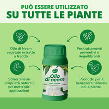 Carica l&#39;immagine nel visualizzatore di Gallery, 1