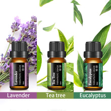 Carica l&#39;immagine nel visualizzatore di Gallery, Skymore Set 6x10 ml di Oli Essenziali Puri, per Diffusori 15*10