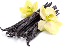 Carica l'immagine nel visualizzatore di Gallery, Vanillia ? 15 Gousses Délicieuses de Vanille "BOURBON BLACK GOURMET" de Madagascar ? Le meilleur de la Récolte ? Tube en Verre + Tube en carton de protection ? Idée Cadeau Originale
