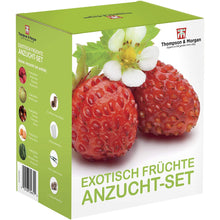 Carica l&#39;immagine nel visualizzatore di Gallery, Thompson &amp; Morgan Crescere Kit Regalo Scatole - Esotico Frutta - Ilgrandebazar