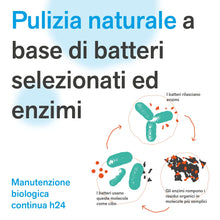 Carica l&#39;immagine nel visualizzatore di Gallery, BactPro - BactSeptic - Pulizia e manutenzione delle fosse biologiche, scioglie gli ingorghi ed elimina cattivi odori - Attivatore Biologico - Polvere 1,3 kg con dosatore