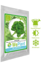 Carica l&#39;immagine nel visualizzatore di Gallery, BIO Basilico &amp; Prezzemolo - Set di semi piante erbe - interno/esterno - Ilgrandebazar