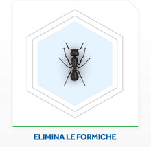 Carica l'immagine nel visualizzatore di Gallery, Raid Esca Formiche, Pronta all'Uso, Confezione da 1 Esca Insetticida per Uso in Spazi Interni ed Esterni