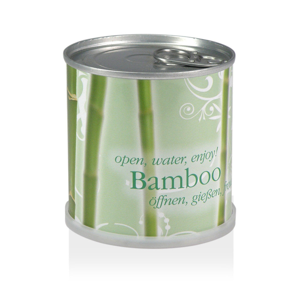 Extragifts Fiori in lattina - BAMBOO verde - Ilgrandebazar