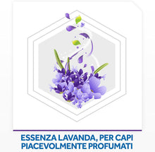 Carica l'immagine nel visualizzatore di Gallery, 7