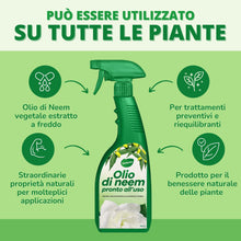 Carica l&#39;immagine nel visualizzatore di Gallery, 1