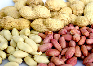 Semi di arachidi -Red Peanut Plant Organic Non-OGM semi ortaggi per... - Ilgrandebazar