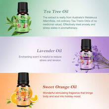 Carica l&#39;immagine nel visualizzatore di Gallery, Oli Essenziali per Diffusori Top 6 Set - Aromaterapia Olio Essenziale Clear - Ilgrandebazar