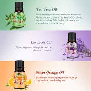 Oli Essenziali per Diffusori Top 6 Set - Aromaterapia Olio Essenziale Clear - Ilgrandebazar