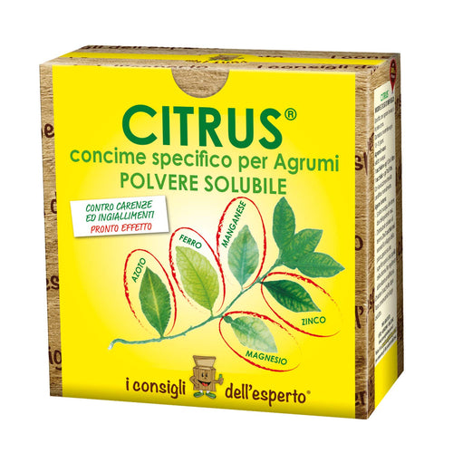 I Consigli Dell'Esperto Citrus Concime Minerale Specifico per Agrumi - Ilgrandebazar