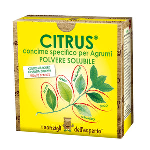 I Consigli Dell'Esperto Citrus Concime Minerale Specifico per Agrumi - Ilgrandebazar