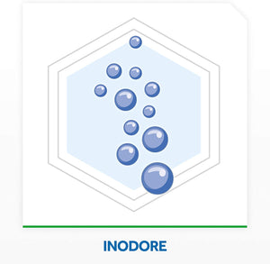 Raid Liquido Elettrico Antizanzare Tigre e Comuni Pacco Promo, Contiene 2 Diffusori e 2 Ricariche, 60 Notti, Inodore