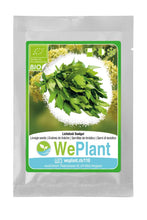 Carica l&#39;immagine nel visualizzatore di Gallery, BIO Levistico - Set di semi piante erbe - interno/esterno - Ilgrandebazar
