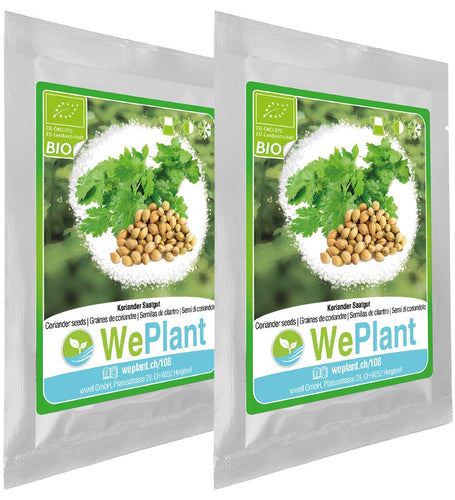 BIO Coriandolo - Set di semi piante erbe - interno/esterno - Ilgrandebazar