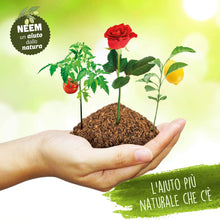 Carica l&#39;immagine nel visualizzatore di Gallery, i Consigli dell&#39;Esperto Olio di NEEM ad Uso Non Alimentare, Flacone 240 ml