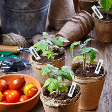 Carica l&#39;immagine nel visualizzatore di Gallery, DECARETA 100 Pezzi Vasi Biodegradabili Vasetti di Torba con 100 8 * 8cm - Ilgrandebazar