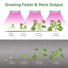 Carica l&#39;immagine nel visualizzatore di Gallery, Olafus 300W Grow Light Lampada per Piante VEG&amp;Bloom 3 Modalità Spettro... - Ilgrandebazar