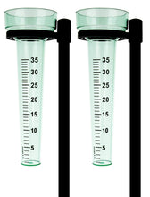 Carica l&#39;immagine nel visualizzatore di Gallery, Lantelme, set di 2 pluviometri con paletto in plastica e vetro, colore: verde - Ilgrandebazar