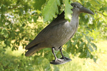 Carica l&#39;immagine nel visualizzatore di Gallery, BREMA Corvo da Giardino, Nero, 38 cm - Ilgrandebazar
