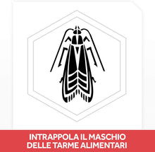 Carica l&#39;immagine nel visualizzatore di Gallery, 2