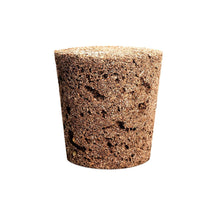 Carica l&#39;immagine nel visualizzatore di Gallery, Substratkapsel Ch.Pepper 3er P Peperoncini rossi - Ilgrandebazar