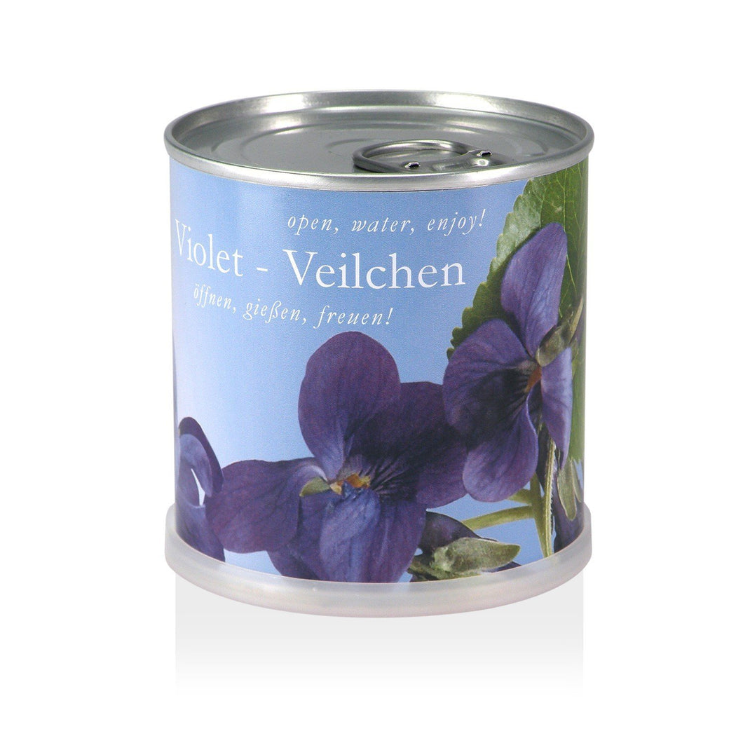 Extragifts Fiori in lattina - Viola viola - Ilgrandebazar