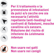 Carica l'immagine nel visualizzatore di Gallery, 46