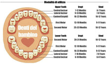 Carica l&#39;immagine nel visualizzatore di Gallery, Denti salva box per bambini e bambina (italiano), Scatola Porta Dentini da Latte,Bambini in legno ricordo regalo, Accumulazione dei denti (Ragazza)