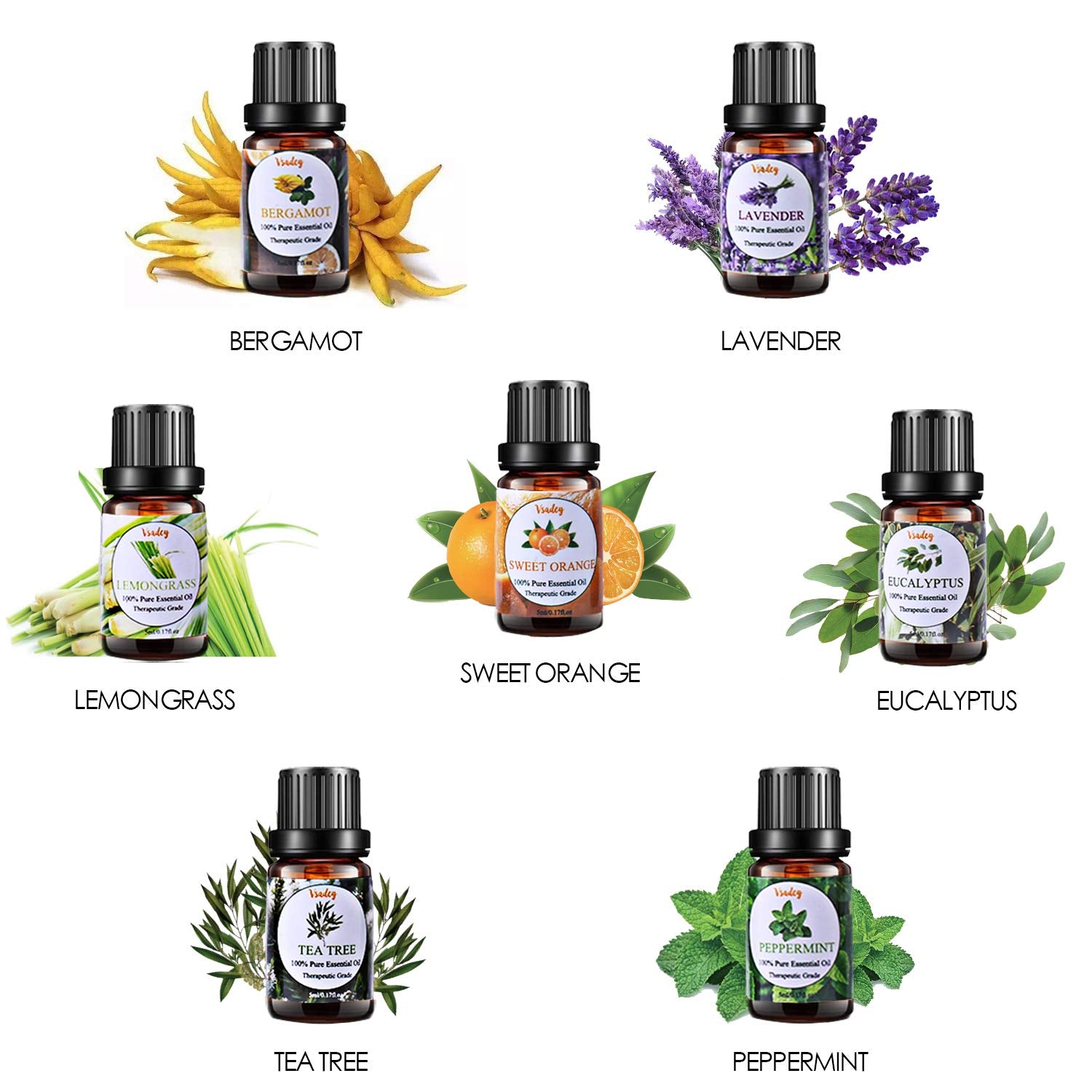 Set Oli Essenziali AESHORY 6x10ml - Lavanda, Tea Tree, Menta, Eucalipto, Arancia, Citronella - Foto 5