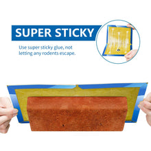 Carica l&#39;immagine nel visualizzatore di Gallery, Wemk Trappola Adesiva per Topi e Ratti e 20Pz - Ilgrandebazar