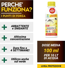 Carica l'immagine nel visualizzatore di Gallery, 2