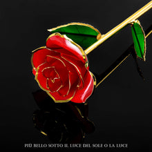 Carica l&#39;immagine nel visualizzatore di Gallery, FORGIFTING Fiore di Vera Rosa Placcata con Oro 24K, Rose Rossa - Ilgrandebazar