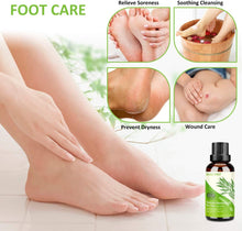 Carica l&#39;immagine nel visualizzatore di Gallery, Tea Tree Oil Puro 100% Olio Essenziale Tea Tree 2 PACK - Olio di Acne Olio Essenziale di Albero del Tè Naturale - Anti Acne e Brufoli Trattamento per Pelli Impure, per Aromaterapia Diffusore - 30ml