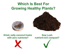 Carica l&#39;immagine nel visualizzatore di Gallery, Sow Lush Herb Your Enthusiasm, Kit Regalo con Semi, 6 deliziose varietà di... - Ilgrandebazar