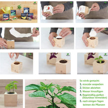 Carica l&#39;immagine nel visualizzatore di Gallery, Feel Green Ecocube Set di Erbe con 5 varietà - 25% Risparmio nel Pacchetto,... - Ilgrandebazar