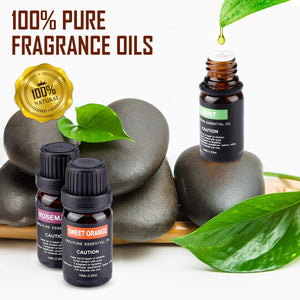 Olio Essenziale Set, 100% Puri Qualità Aromaterapia Oli Kit(Lavanda, Tea Red - Ilgrandebazar