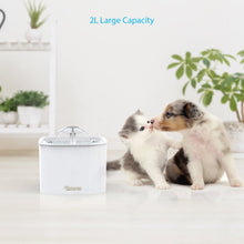 Carica l'immagine nel visualizzatore di Gallery, DADYPET Fontanella per Gatti, Fontana per Gatti, Distributore di Acqua per Gatti, Grande capacità di Ricambio 2L, Automatiche e Silenzioso