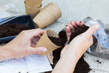 Carica l&#39;immagine nel visualizzatore di Gallery, Sow Lush Herb Your Enthusiasm, Kit Regalo con Semi, 6 deliziose varietà di... - Ilgrandebazar