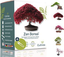 Carica l'immagine nel visualizzatore di Gallery, 3