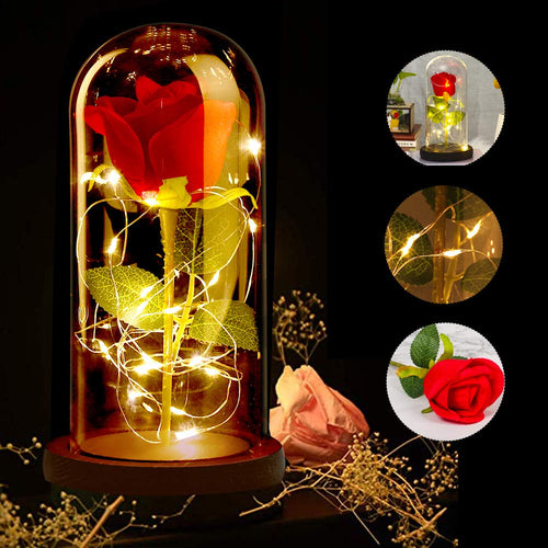 ASANMU Kit di Rose La Bella e Bestia, Petali Rosa Elegante Cupola di... - Ilgrandebazar