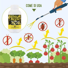 Carica l&#39;immagine nel visualizzatore di Gallery, i Consigli dell&#39;Esperto Olio di NEEM ad Uso Non Alimentare, Flacone 240 ml