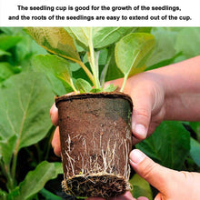Carica l&#39;immagine nel visualizzatore di Gallery, DECARETA 100 Pezzi Vasi Biodegradabili Vasetti di Torba con 100 8 * 8cm - Ilgrandebazar