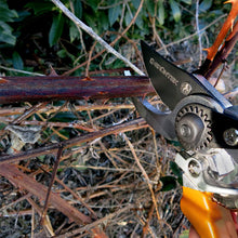 Carica l'immagine nel visualizzatore di Gallery, GRÜNTEK Forbici e Cesoie da Potatura. Taglio Bypass, Lama 48 mm, Giallo - Ilgrandebazar