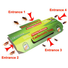 Carica l&#39;immagine nel visualizzatore di Gallery, Kimimara Cockroach Trappole, 12 Pcs Trappole per scarafaggi con Bait... - Ilgrandebazar