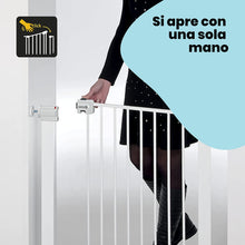 Carica l'immagine nel visualizzatore di Gallery, 15