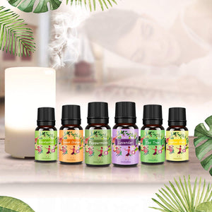 Oli Essenziali per Diffusori Top 6 Set - Aromaterapia Olio Essenziale Clear - Ilgrandebazar