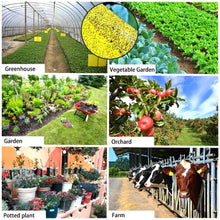 Carica l&#39;immagine nel visualizzatore di Gallery, ZOORE 20 Plant Flycatcher, trappole appiccicose Gialle bilaterali per ZR01