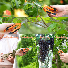 Carica l&#39;immagine nel visualizzatore di Gallery, CELIFE 3 Pezzi Cesoia da potatura Professionali Forbici e Cesoie per potare... - Ilgrandebazar