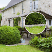 Carica l&#39;immagine nel visualizzatore di Gallery, Amagabeli Garden Home 200 Picchetti a U in Acciaio Lunghi 15CM - Ancoraggio... - Ilgrandebazar